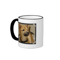 Akita Pictures  Coffee Mug