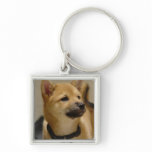 Akita Pictures  Keychain