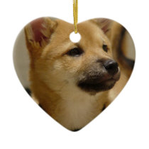 Akita Pictures Ornament