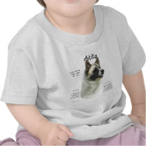 Akita (pinto) History Design