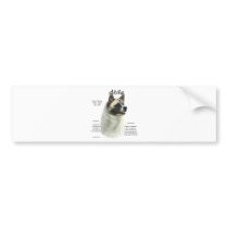 Akita (pinto) History Design