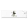 Akita (pinto) History Design Bumper Stickers