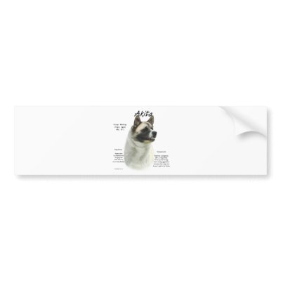 Akita (pinto) History Design Bumper Stickers by GreyWolfCreation