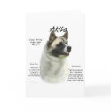 Akita (pinto) History Design cards