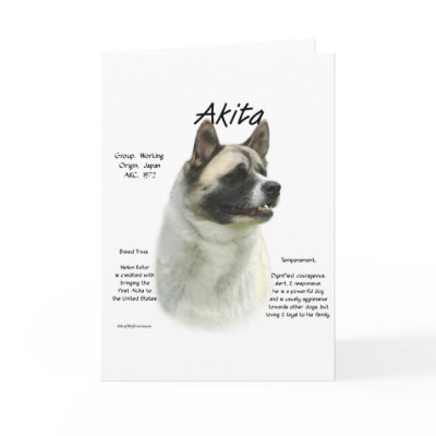 Akita (pinto) History Design Card by GreyWolfCreation