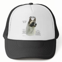Akita (pinto) History Design