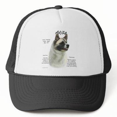 Akita (pinto) History Design by GreyWolfCreation