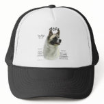 Akita (pinto) History Design hats