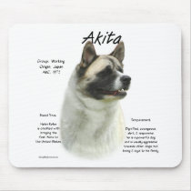 Akita (pinto) History Design
