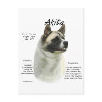 Akita (pinto) History Design