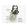 Akita (pinto) History Design