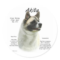 Akita (pinto) History Design