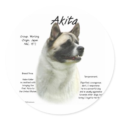 Akita (pinto) History Design by GreyWolfCreation