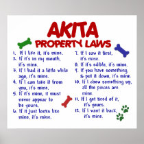 AKITA PL2