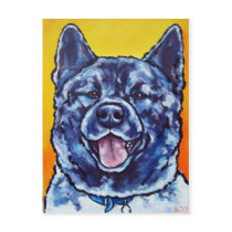 Akita