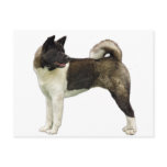 Akita postcard