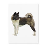 Akita postcard