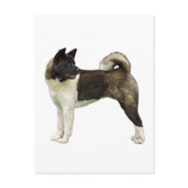 Akita postcard