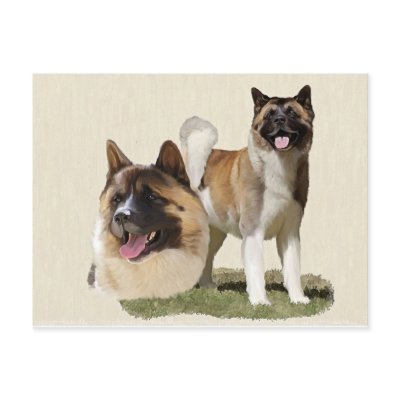 Akita Post Cards by Cazzies_Creations