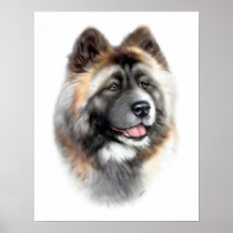 Akita
