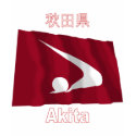 Akita Prefecture Waving Flag t-shirts