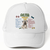 Akita Property Laws 4