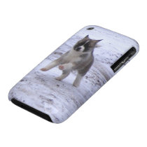 Akita Pup Iphone 3 Cover