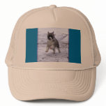 Akita Pup Mesh Hat
