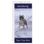 Akita Pup Custom Rack Card