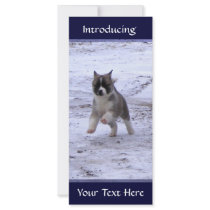 Akita Pup Custom Rack Card