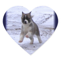 Akita Pup Sticker