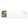 Akita Puppy Bumper Sticker