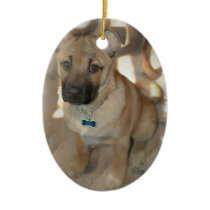Akita Puppy Ornament