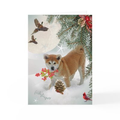 Akita Puppy Playing In Snow Cards by friskybiz