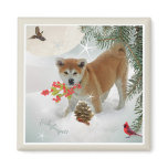 Akita  puppy playing in snow fridge magnets