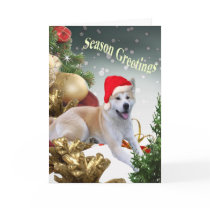 AKITA Season Greetings Cards