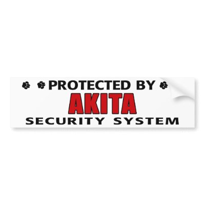 Akita Security System Bumper Sticker by DanesRUs