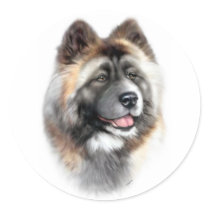 Akita