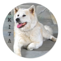 Akita Runder Sticker