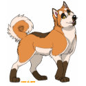Akita T-Shirt