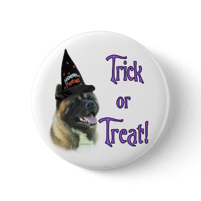 Akita Trick by GreyWolfCreation