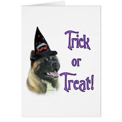 Akita Trick by GreyWolfCreation