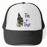 Akita Trick Mesh Hat