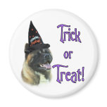 Akita Trick Refrigerator Magnet