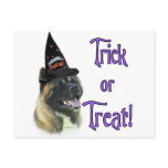 Akita Trick Postcard