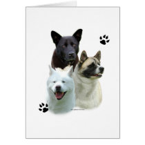 Akita Trio