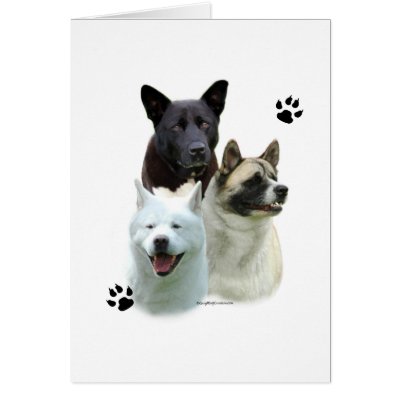 Akita Trio Cards by GreyWolfCreation