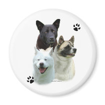 Akita Trio - Magnet