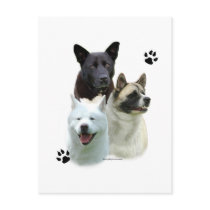 Akita Trio