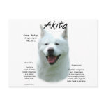 Akita (wht) History Design Postcards